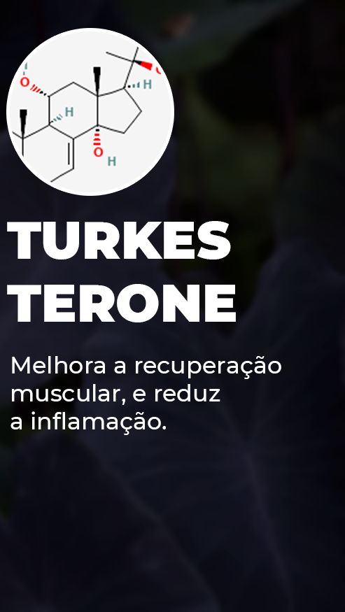 turkes